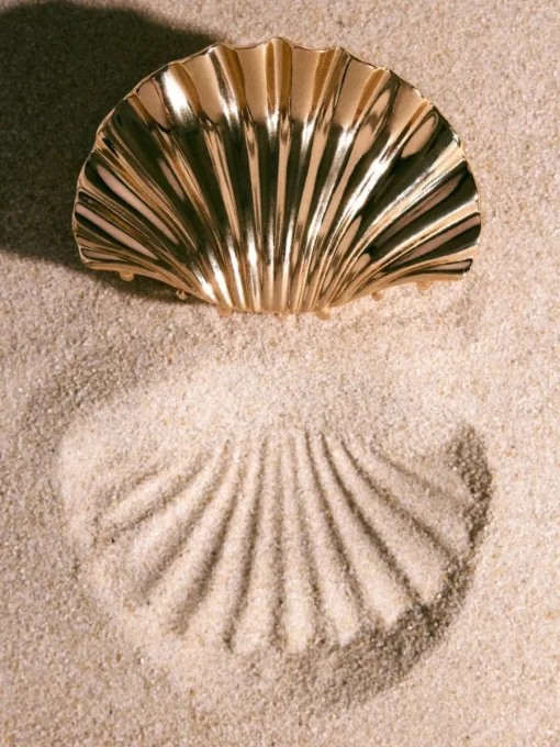 Accessoires>MOHITO Haarspange Gold